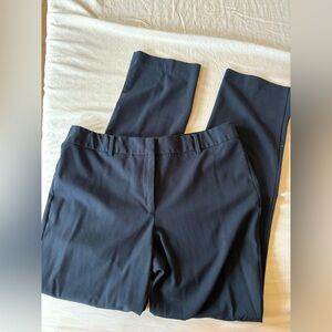 Ann Taylor Navy Blue Slacks